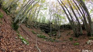 Il respiro del Bosco Sacro di Angitia ❤️ [upl. by Ahtivak]