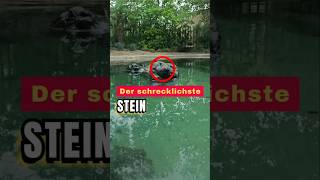 Schwimmen Sie niemals in diesem Fluss‼️ Reaction jonathanrios782 [upl. by Largent]