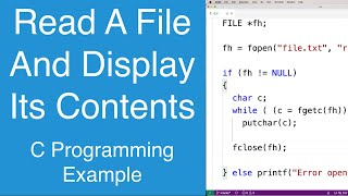 Read A File And Display Its Contents  C Programming Example [upl. by Mientao]