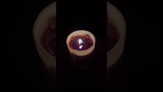 Wood wick candle asmr shorts2024 shortsviral shortsyoutube shortsbeta shorts [upl. by Hermina]