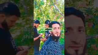 enjoy Kashmiri Apple apple [upl. by Sadnak]