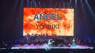 Yoshiki Classical 10th Anniversary World Tour with Orchestra 2023 quotREQUIEMquot 108 ANGEL [upl. by Muiram]