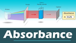 ABSORBANCE Spectrophotomètre  Comment sélectionner la longueur donde de travail  Lycée  Chimie [upl. by Pip528]