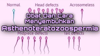 SEMBUH DARI ASTENOTERATOZOOSPERMIA… [upl. by Japheth405]