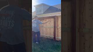 Staining a fence with a pump sprayer fencelife fencecartel [upl. by Liana239]