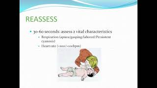 Newborn Resuscitation Program NRP Overview Pediatrics lecture for MBBS [upl. by Herrick]