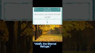 Quran ki surteinSURAH YASEENSURAH AL REHMANSURAH ALMULKSURAH ALYOUSAFshorts viralshorts [upl. by Lambertson]