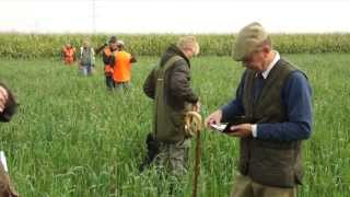 Retriever Field Trial Erstein 2013 2 [upl. by Osei]