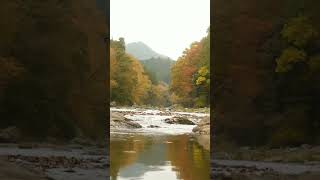 Autumn river sounds autumn river [upl. by Haimirej]