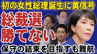 【高市早苗】次の総裁選を目指すも大きな壁が立ちはだかる！キーマンは小林鷹之。岸田文雄や林芳正も動き出し大混乱… [upl. by Canter739]