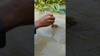 Unique Fishing hand Fishing Challenge Video 😲fishingshortsviralshort [upl. by Arratahs173]