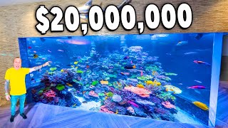 Un Tour por el Tanque de Peces de 20000000 de Brian Barczyk [upl. by Needan171]