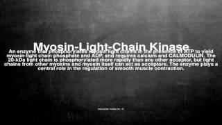 Medical vocabulary What does MyosinLightChain Kinase mean [upl. by Odelle]