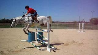 my 153 hh quarter horse jumping 4 ft for the first time [upl. by Yci716]