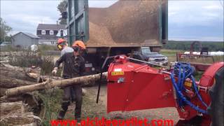 farmi chipper ch260 [upl. by Susette]