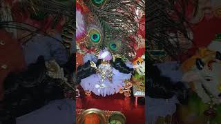 Radhe Radhe 🦚🙏radhakrishna radheradhe krishnaflutemusic vlogs shortsvlog subscribe [upl. by Philine]