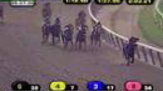 2008 Belmont Stakes [upl. by Wrightson]