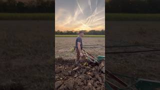 Plowing with draft horses under a lovely fall sky [upl. by Anairad]