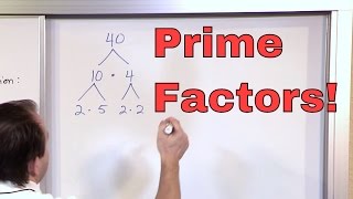 Prime Factorization  5th Grade Math  Finding Factors of a Number Factoring  Math Homework Help [upl. by Oisor]