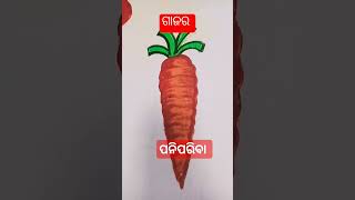 different kinds of vegetables name in odia panipariba nama odia vegitables name in odia [upl. by Aimas]