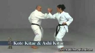 Shoryn Ryu karate Kyudokan Mazato Higa [upl. by Bridgid]