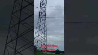 Stockbridge Damperspower transmission lines [upl. by Cornelle109]