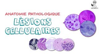 Anatomie Pathologique  Lésions Cellulaires élémentaires [upl. by Lindell]