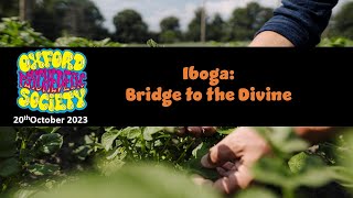 Iboga Bridge to the Divine [upl. by Terrag494]