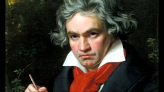 Ludwig Van Beethovens 5th Symphony in C Minor Full [upl. by Thedrick]