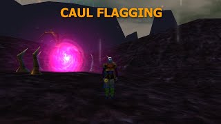 Singularity Caul Flagging  Asherons Call Gameplay [upl. by Ahtelahs]