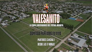 Partidos Valesanito cancha 1 [upl. by Anatsirhc]