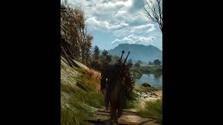 Amazing Village Ambiance thewitcher3 gaming [upl. by Braasch]