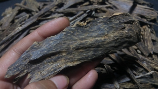 Good grade of Agarwood for Incense العود عود Aloeswood 香 沉香 沈香 伽羅 [upl. by Jacklyn]