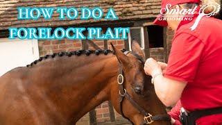 HOW TO PLAIT A FORELOCK [upl. by Ainegul]