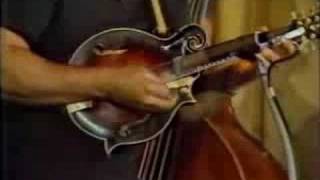 Seldom Scene Live Birchmere 1979 Part 2 [upl. by Tocci]