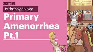 Amenorrhea Pathophysiology Part 1  Sketchy Medical  USMLE Step 1 [upl. by Nert]