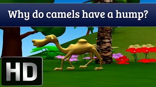 Why do camels have humps  Facts About Camels for Kids [upl. by Candace]