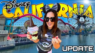 DISNEY CALIFORNIA ADVENTURE PARK UPDATEWhat’s NEW Wait times Food Crowds  What you Need to Know [upl. by Domineca488]