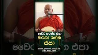 වෛර කරන්න එපා තරහ ගන්න එපා 😯🍃 Venerable Welimada Saddaseela Thero [upl. by Ayaet]