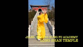 XingYi Quan with Yu ShifuKung Fu  Shaolin Sanda  Tai Chi  Qi Gong  Xing Yi  Self Defence [upl. by Nayarb]