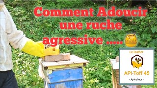 Apiculture 2021 COMMENT ADOUCIR UNE RUCHE AGRESSIVE [upl. by Eirrac]