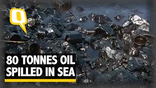 The Quint Tankers Collide Near Chennai 80 Tonnes of Oil Spilled in Sea [upl. by Esirehc]