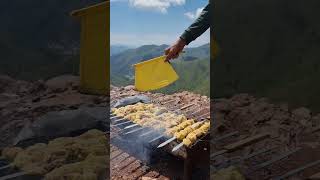 Kebab in Nature iran iranfood kabab [upl. by Tice]