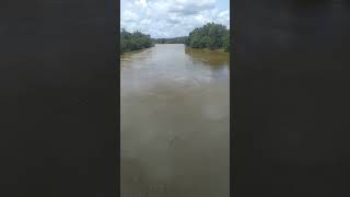 The appearance of the black river in srilanka 😌😄🤔 [upl. by Eima]