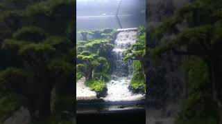 DIY Sand Waterfall Aquarium 2  Ploors and 3 Water Flows [upl. by Iyre]