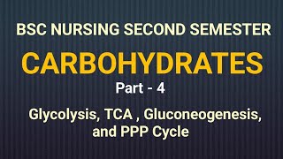 Carbohydrates Part4 in Biochemistry BSC NURSING SECOND SEM [upl. by Deutsch]