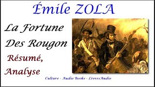 BAC  Émile ZOLA La Fortune Des Rougon Résumé Analyse [upl. by Letnuhs635]