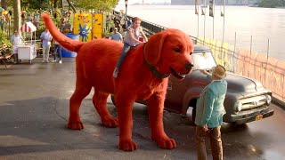 The Red Dog Thats Bigger Than an Elephant Becomes a Hero movie [upl. by Ellehcin164]