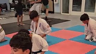 US KYOKUSHIN KARATE  TAMESHIWARI [upl. by Aerised]