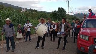 Tampico Hermoso Orquesta Jarillera de Buenavista San Agustín Tlacotepec 🎷🎵🎺🎵 [upl. by Yelahc]